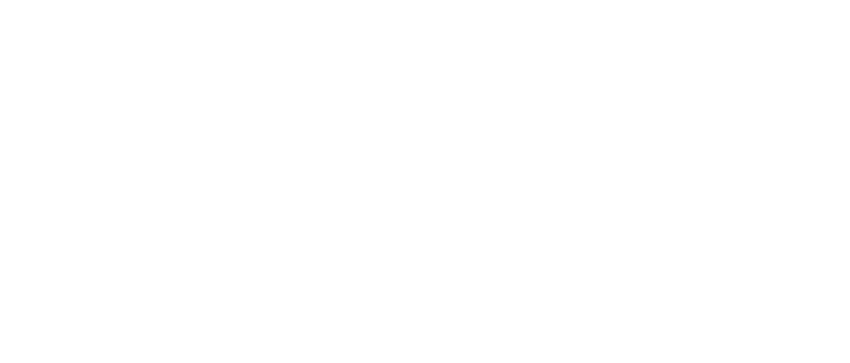 Logo white no symbol
